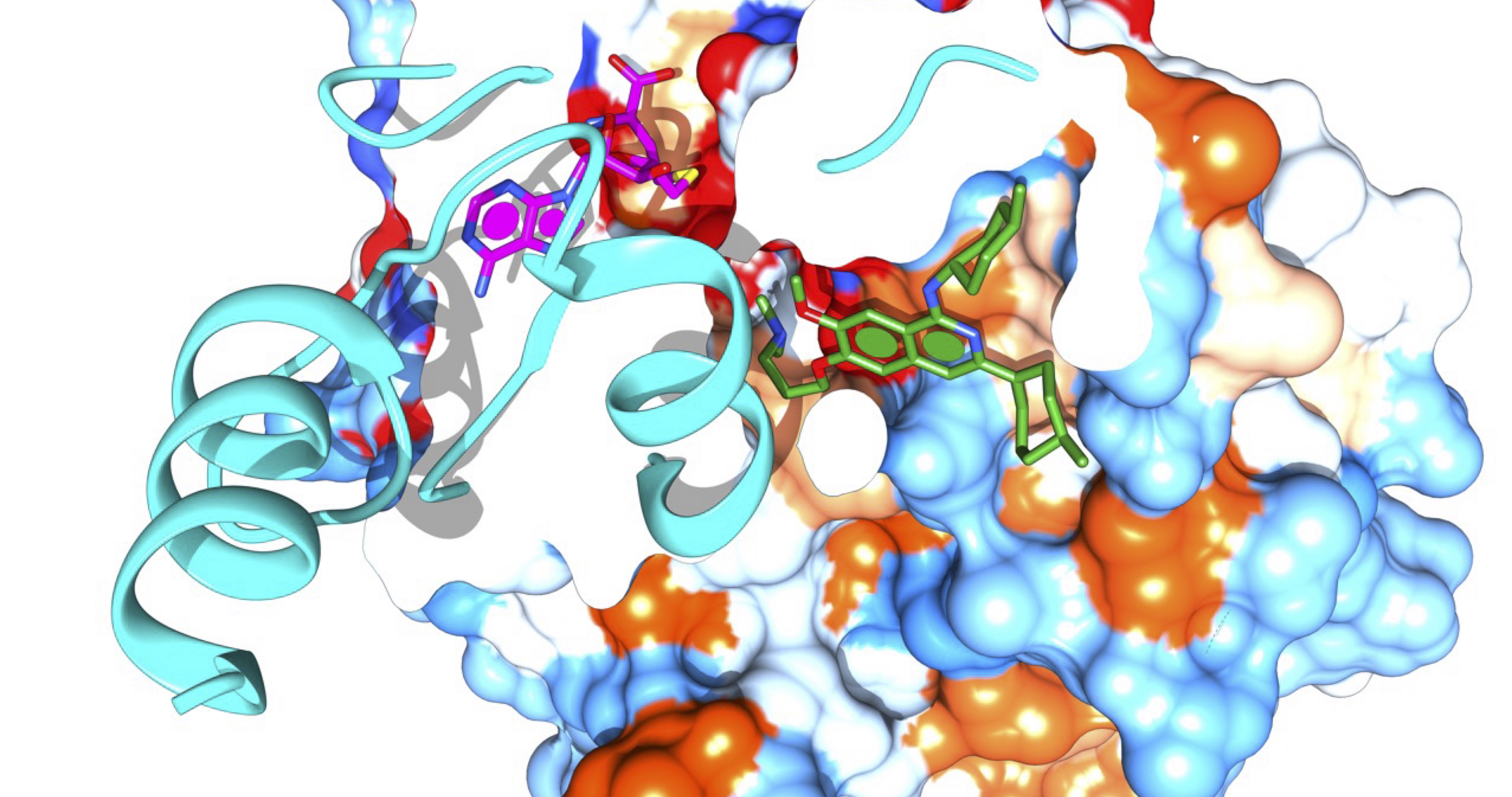 Docked small molecule into protein structure